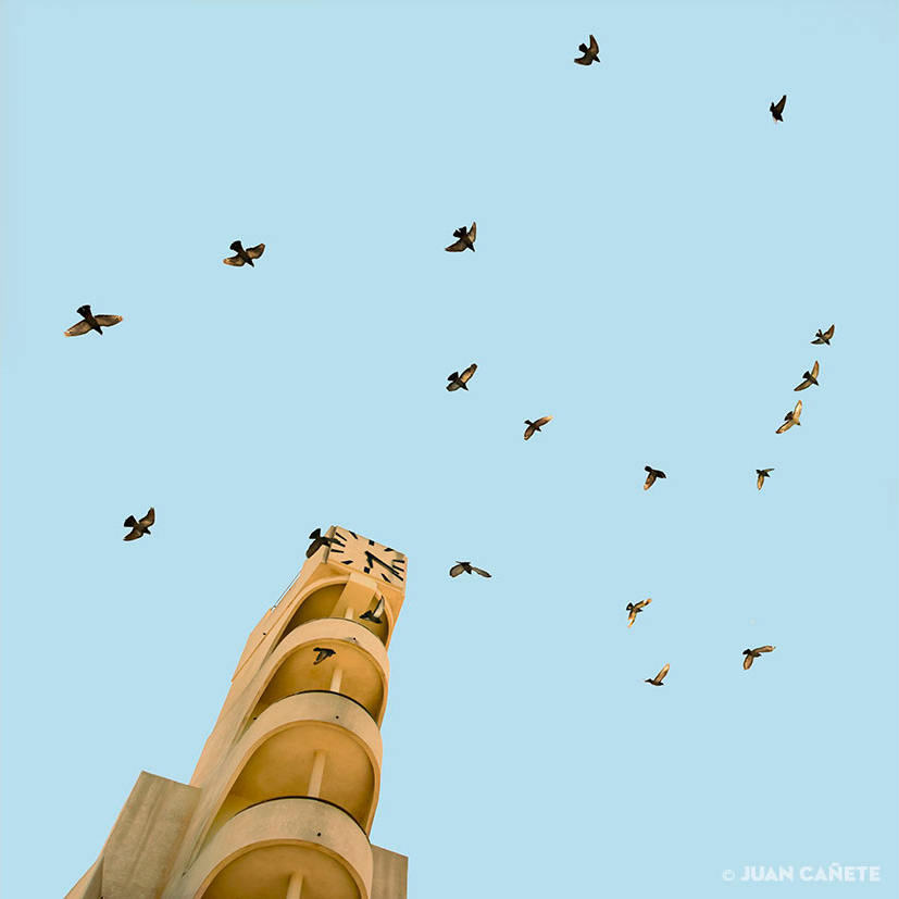 fotos de las obeas de salamones